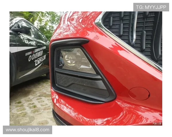 玩家心得：我的凯发PG电游体验分享与感悟