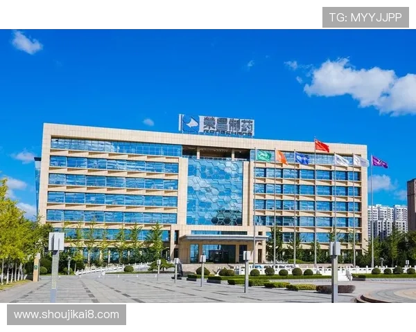 凯发国际k8官网登录手机：便捷登录方式助力玩家随时随地畅享精彩赛事